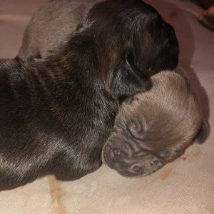 Meet your Posher, Tia